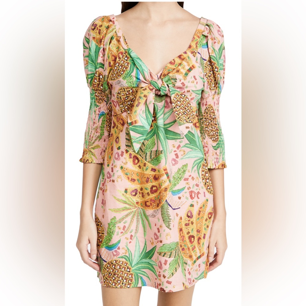 Farm Rio dress